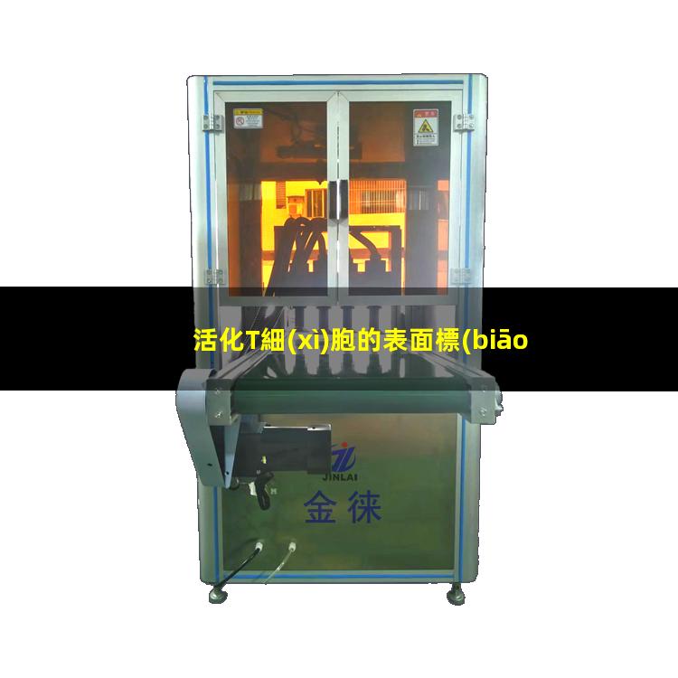 活化T細(xì)胞的表面標(biāo)志