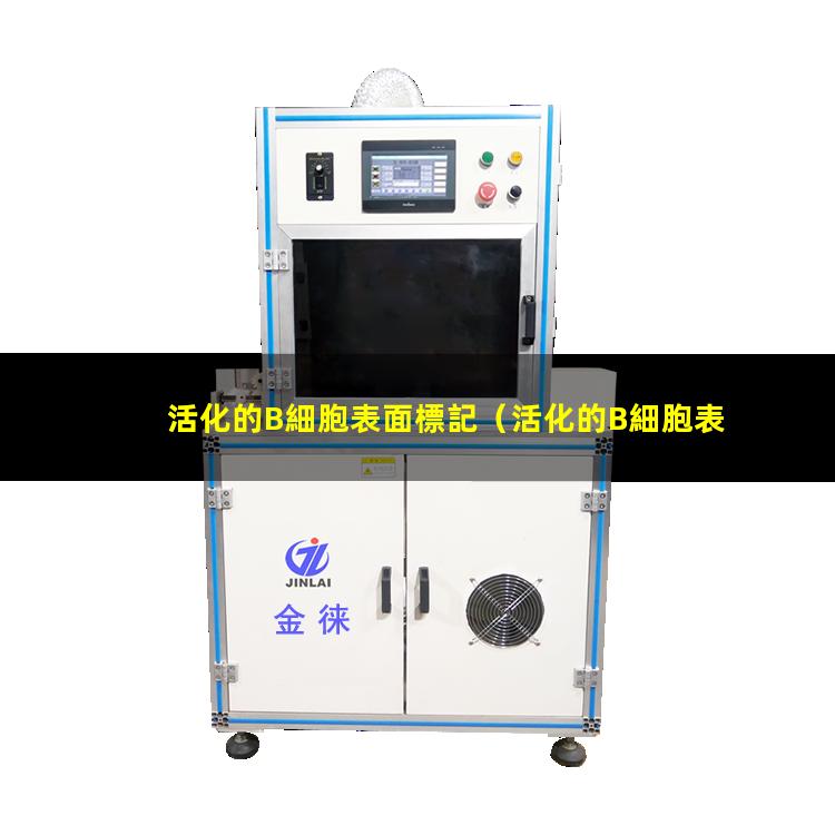 活化的B細胞表面標記