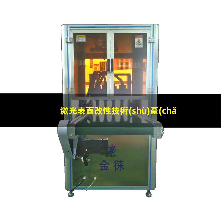 激光表面改性技術(shù)產(chǎn)品