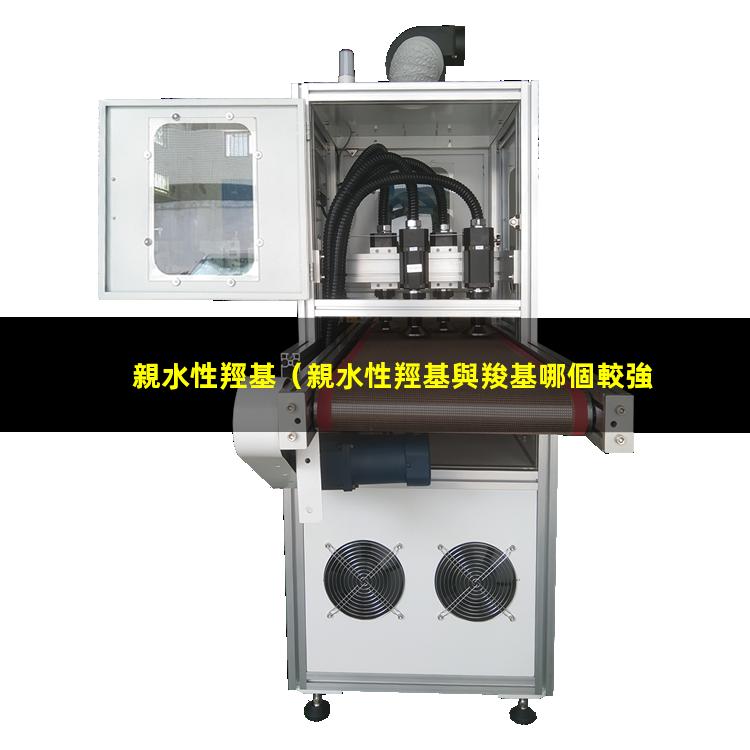親水性羥基