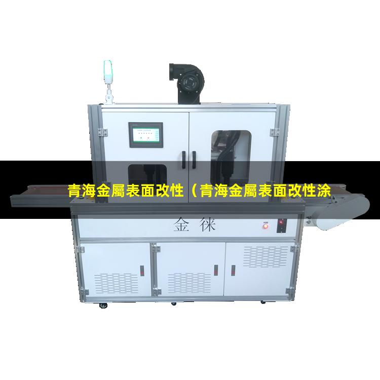 青海金屬表面改性