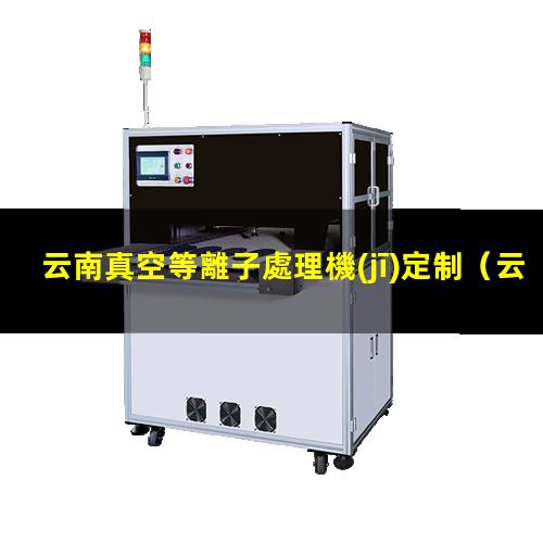 云南真空等離子處理機(jī)定制