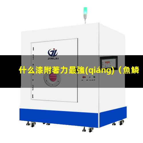 什么漆附著力最強(qiáng)