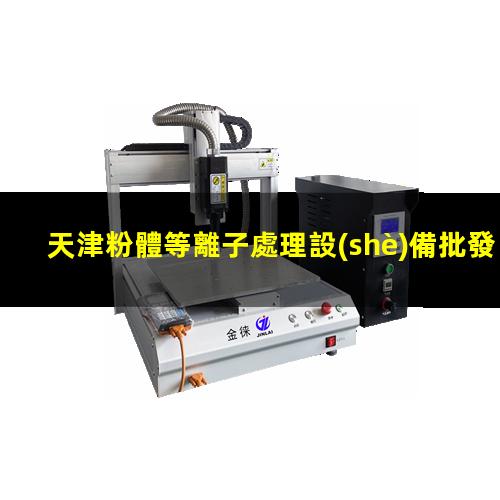 天津粉體等離子處理設(shè)備批發(fā)