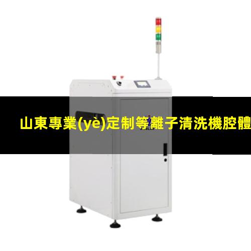 山東專業(yè)定制等離子清洗機腔體量大從優(yōu)