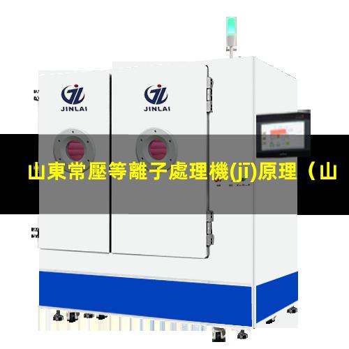 山東常壓等離子處理機(jī)原理