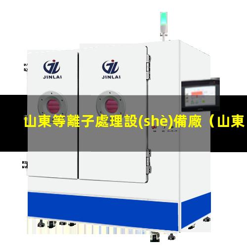 山東等離子處理設(shè)備廠