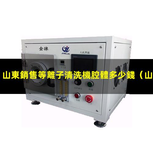 山東銷售等離子清洗機腔體多少錢