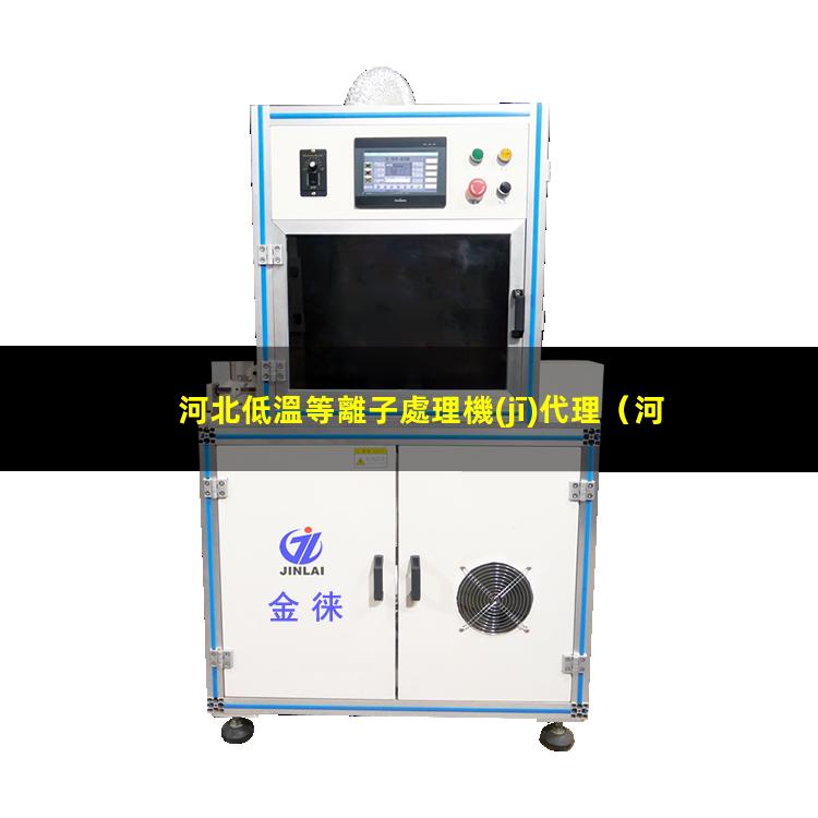 河北低溫等離子處理機(jī)代理
