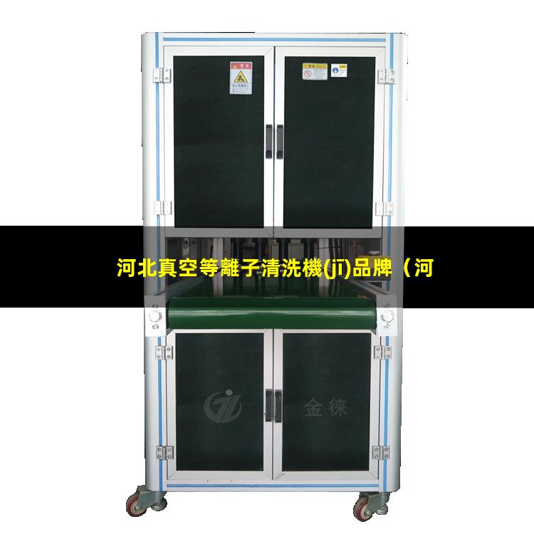 河北真空等離子清洗機(jī)品牌