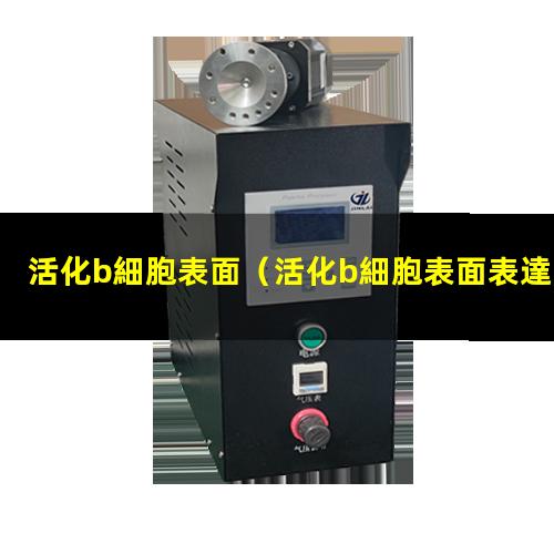 活化b細胞表面