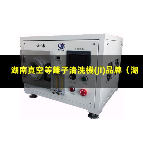湖南真空等離子清洗機(jī)品牌