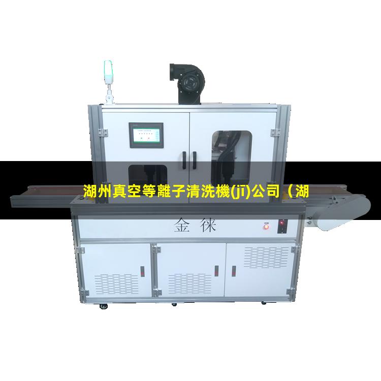 湖州真空等離子清洗機(jī)公司