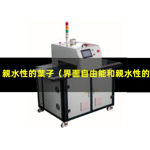 親水性的葉子