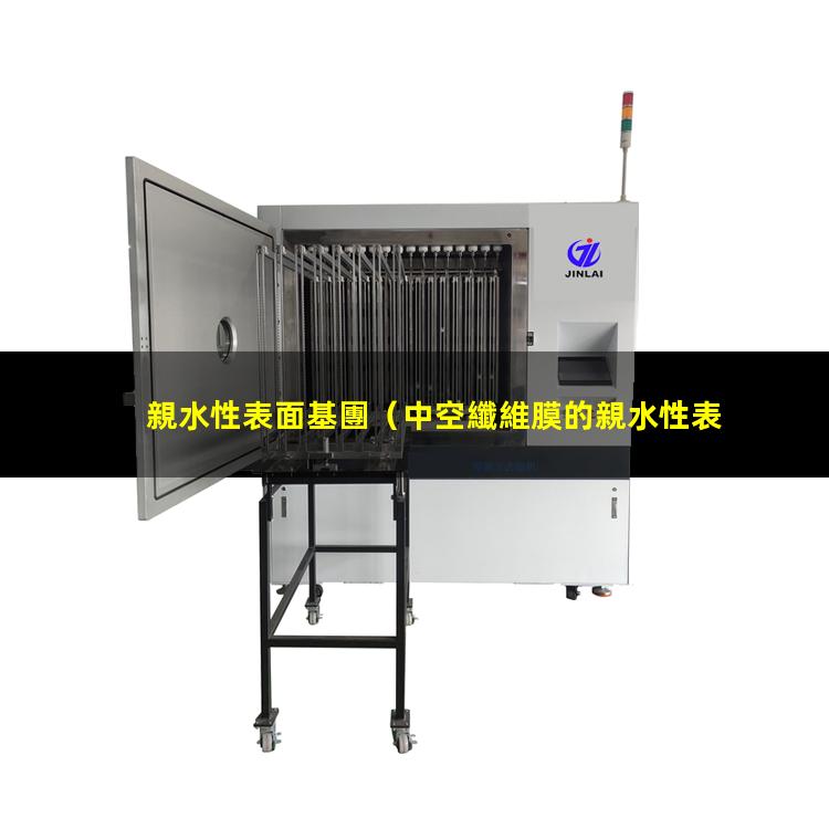 親水性表面基團