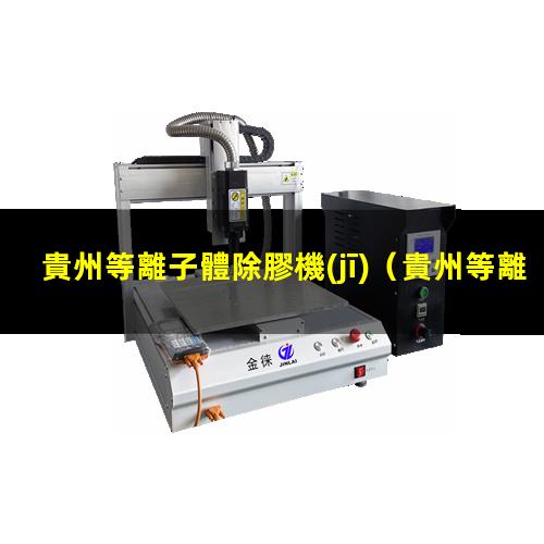 貴州等離子體除膠機(jī)