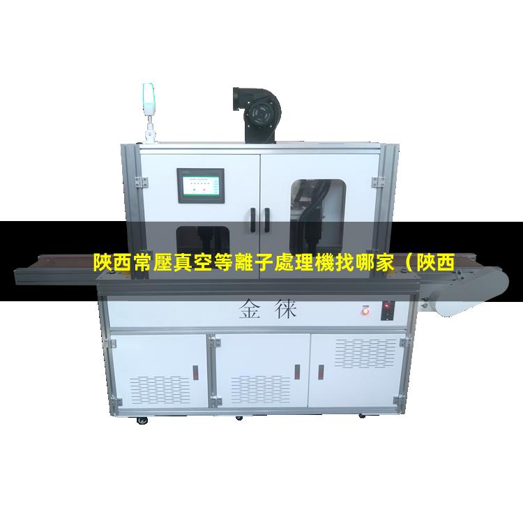 陜西常壓真空等離子處理機找哪家